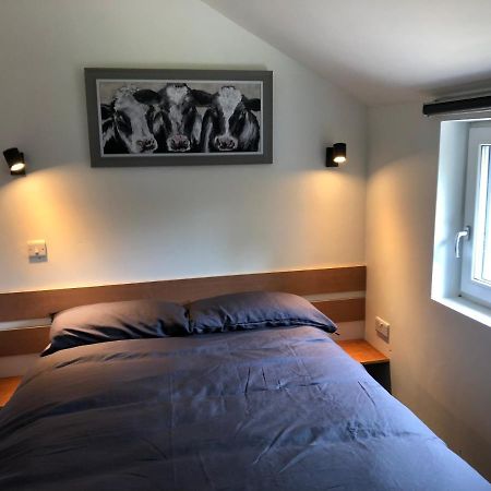 Lucy'S Loft Lägenhet Cork Exteriör bild