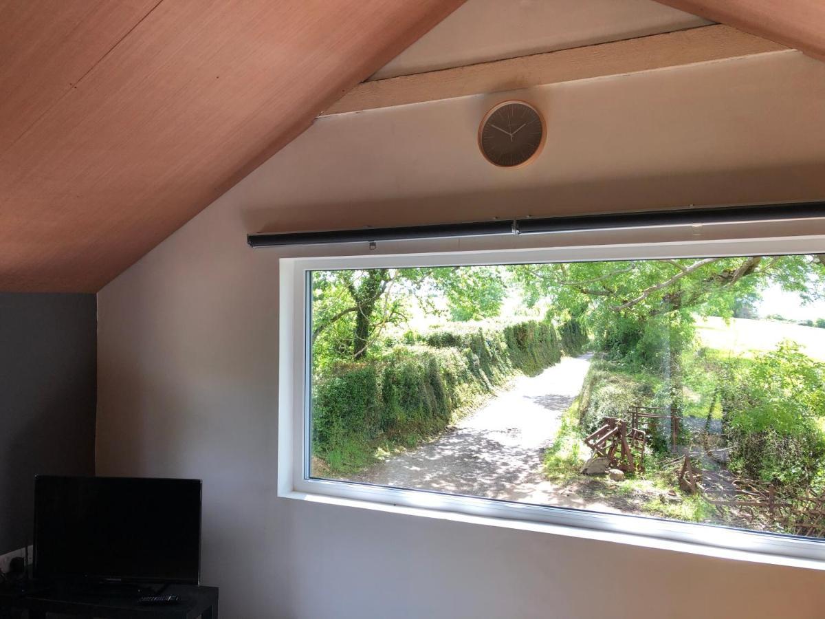 Lucy'S Loft Lägenhet Cork Exteriör bild